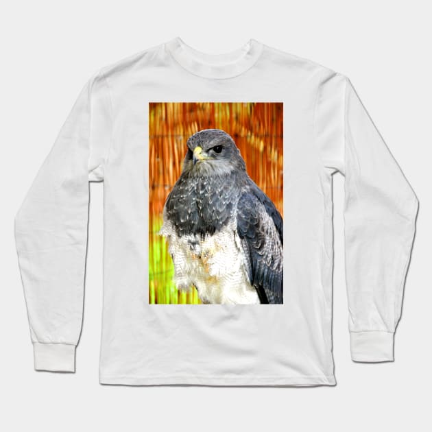 Chilean Eagle Black Chested Buzzard Long Sleeve T-Shirt by AndyEvansPhotos